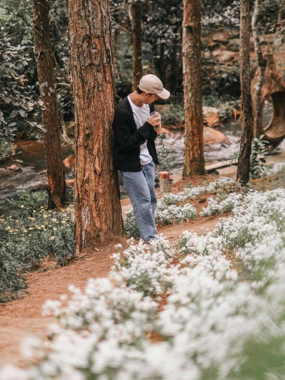 Thành Phố Đà Lạt