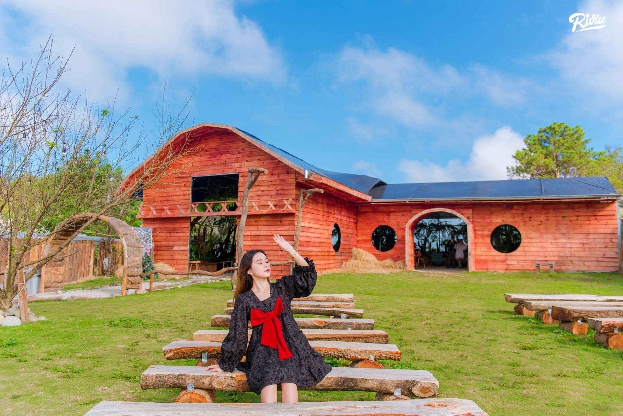 FREE dịch vụ ăn uống